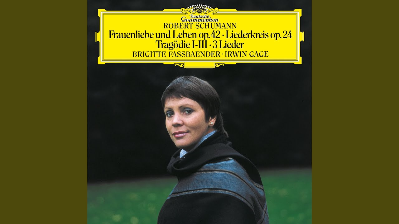 Schumann: Liederkreis, Op. 24 - 6. Warte, warte, wilder Schiffsmann