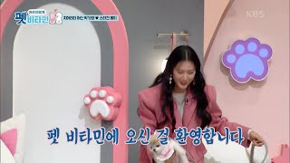 오늘의 주인공! 치어리더 여신 박기량과 스타견 몽이 [펫 비타민] | KBS 210107 방송