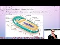 STRUCTURE OF PROKARYOTIC AND EUKARYOTIC CELL||CSIR|| FOR ALL LIFESCIENCES RELATED EXAM