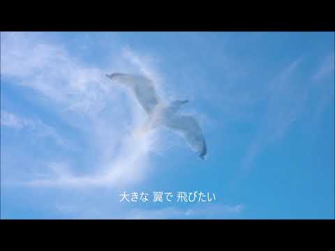 Kokia - Goes On Forever