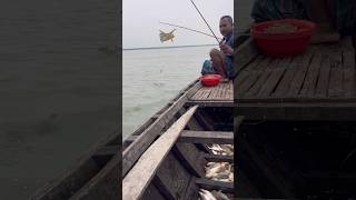 Unique Hook Fishing Technique from the Padma River! #fishing #riverfishing #hooksfishing