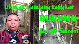 ukuran kandang tangkar jalak suren,,,