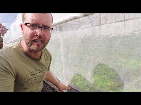 Keeping Bugs In Or Out Of The Greenhouse