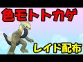 🔴【ポケモンSV】色違いモトトカゲレイド！誰でも参加OK！ Pokemon Scarlet Violet Live Stream【参加型】