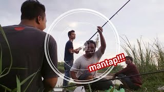 Download Lagu MANCING DI SAWANGAN TAJUM-SERAYU DESA BANJAR WARU RAWALO. MP3