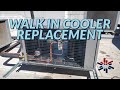 WALK IN COOLER REPLACEMENT