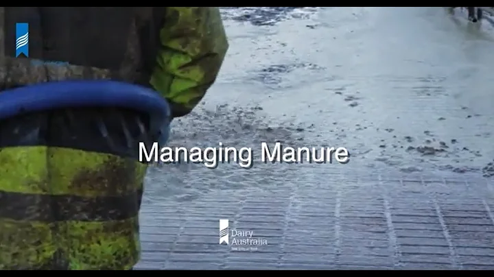 Managing manure on dairy farms