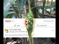 Update the miss up (FACEBOOK FEED) step in Video #28 (Sorry to you) | Canva tutorial