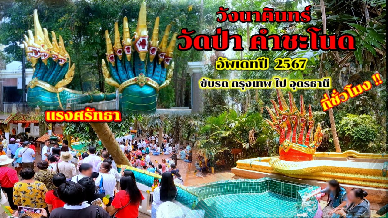 เมืองพญานาค วัดป่าคำชะโนด จ.อุดรธานี อัพเดทปี 2567  ขับรถจากกรุงเทพไปวัดป่าคำชะโนดกี่ชั่วโมงไปดูกัน