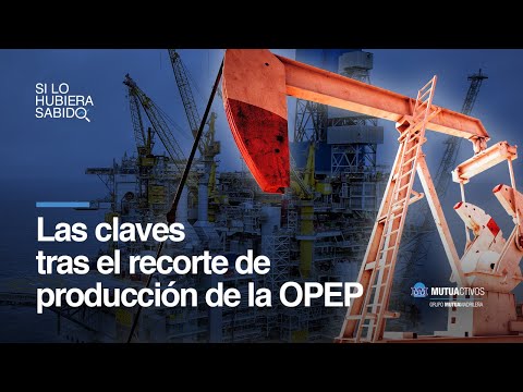 Las claves tras el recorte de producción de la OPEP - Si lo hubiera sabido