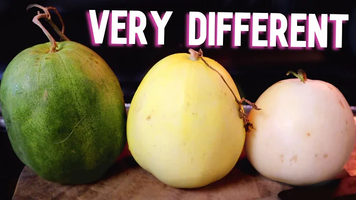 Chinese Melons Explained! - Weird Fruit Explorer - DayDayNews