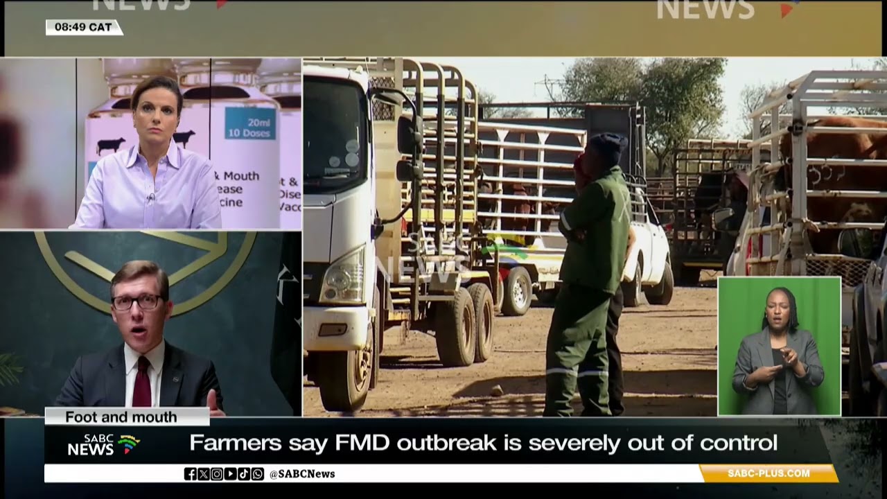 Foot and mouth | Farmers take government to court over foot-and-mouth