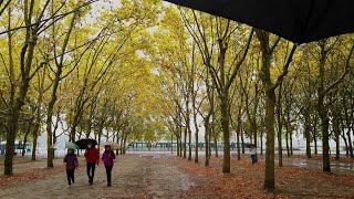 Walking in Rainy Saturday Ambience [Part 2] Bordeaux 4k Sep 26 2020 / France Rain Walk city sounds screenshot 4