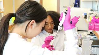 Lab Life: Landstrom Laboratory