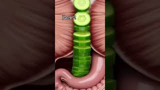 what happened when you eat cucumber 🥒?
