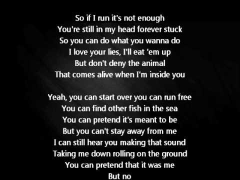 Maroon 5 Animals lyrics - YouTube