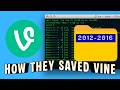 The Vine Resurrection: How the Internet Saved It