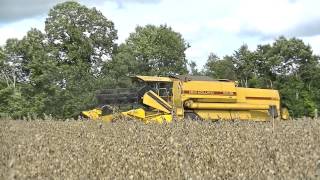 Moisson 2013 en centre Bretagne