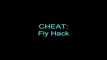 Combat Arms Hacker -  KidNoob - Fly Hack