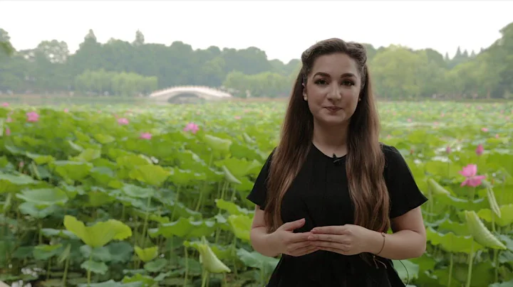 City of lotus in China to host 14th COP meeting of Convention on Wetlands - DayDayNews