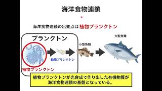 模擬授業　東海大学札幌キャンパス　海洋生物科学科（野坂裕一先生）プランクトンってなに？〜プランクトンは海洋生態系の大黒柱〜