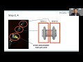 Technical tips on lams  bfms placement by dr saurabh mukewar in eus masterclass