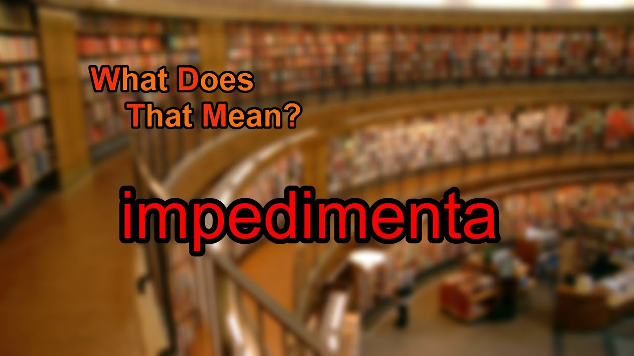 What does impedimenta mean?