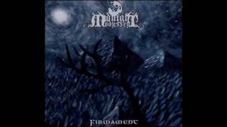 Watch Midnight Odyssey Nocturnal Prey video