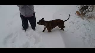 playing outside in the snow during blizzard conditions with our babies