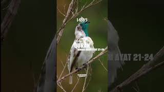 Surah Anam Ayat 21-24 // with urdu translation Follow For More @abideditz777 Surah Anam Ayat 21-24 // with urdu translation Follow For More @abideditz777