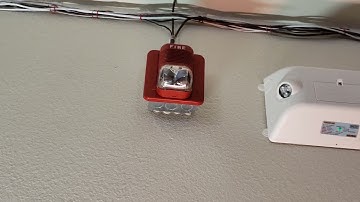 System Sensor Spectralert P241575 Horn Strobe Fire Alarm Test