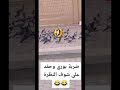 قط يبغا يصيد الحمام دق بوري خرب عليه Short Shorts 