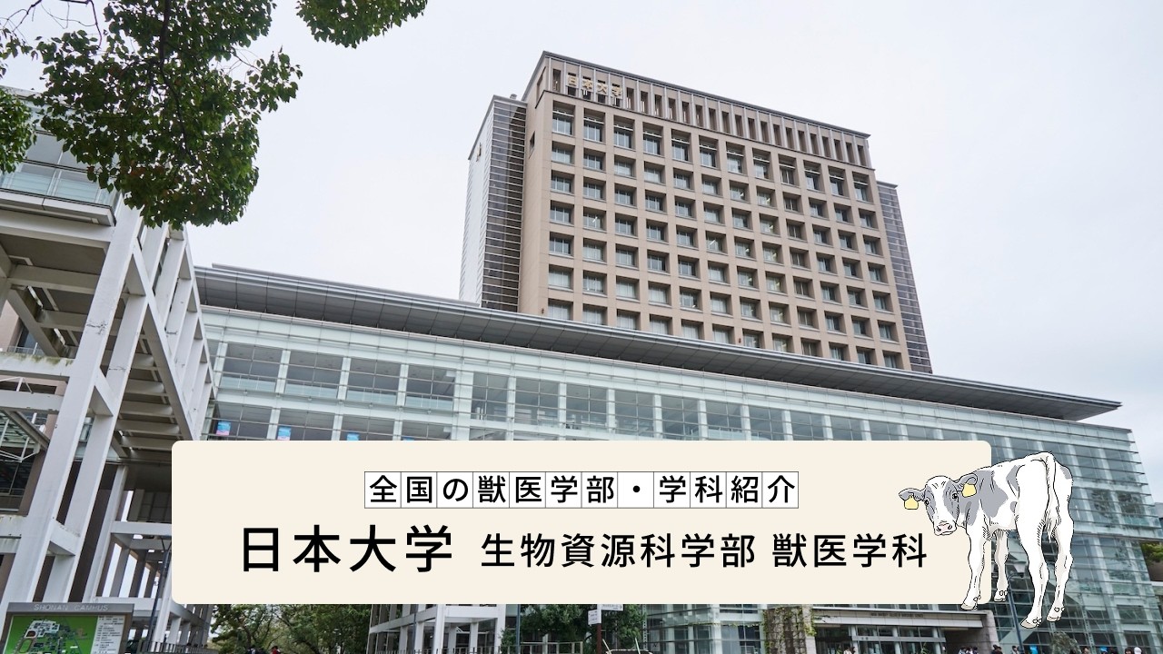 日本大学 | 日本の畜産を支える獣医さんになろう