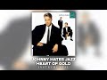 Johnny Hates Jazz - Heart of Gold (Instrumental)