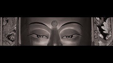 Buddhas Eyes and One Sentence - Laurence Brahm