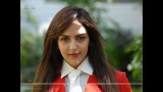 Air Hostess amazing pictures