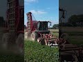 récolte de betteraves