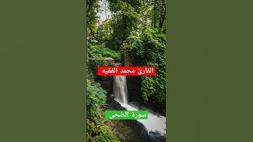 سورة الضحى بصوت القارئ الشيخ محمد الفقيه تلاوة خاشعة ومؤثرة #quran #تلاوة_خاشعة #محمد_الفقيه