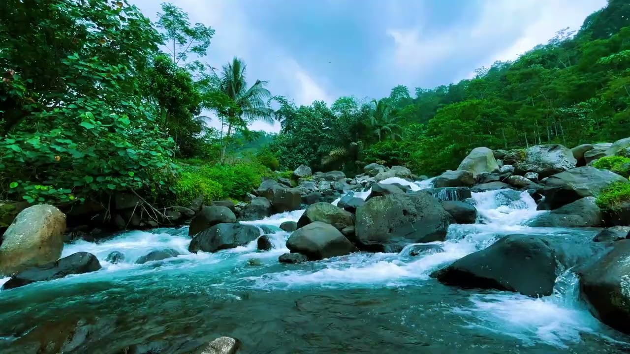 Natural River Sounds Only 🌊 Calm Water for Sleep & Focus