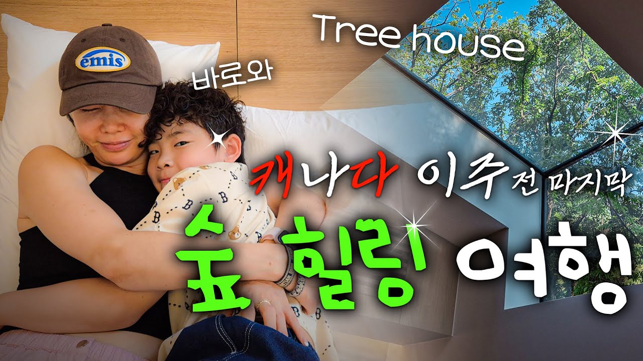 [VLOG] 바로와 함께 떠나는 숲 힐링여행 | 올 여름 휴가는 숲속으로 😂