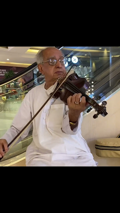 The Melody of Life #violin #lifeisbutadream #classicalmusic #theothersideofmakebelieve #hustle