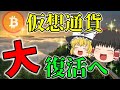 【ガチホ大勝利】将来の仮想通貨再バブル発生が確定濃厚となりました。