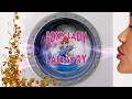 Foxy Lady Laundry on 167st Commercial