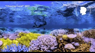 Peabody Conversations Chasing Coral