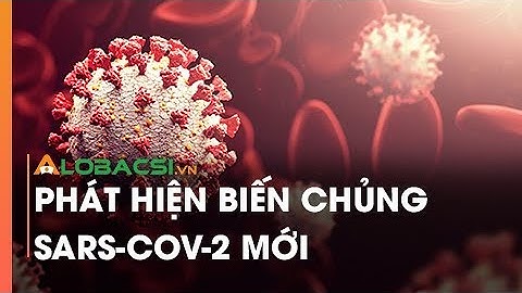 Phát Hiện Biến Chủng SARS-CoV-2 Mới