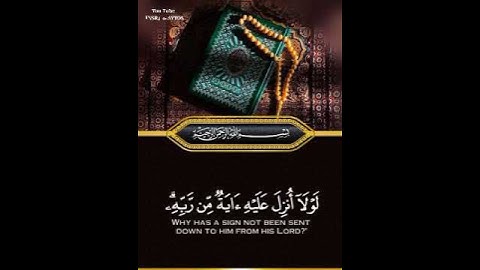 قرآن كريم بصوت القارئ ياسر الدوسري تلاوة خاشعة 💚🌿 حالات واتس اب / ستوريات قرآن | Quran ststus