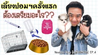 Nearby Kennel [คนใกล้ฟาร์ม] EP.4 - มือใหม่พาน้องปอมฯเข้าบ้านวันแรก ต้องเตรียมอะไรบ้าง?? - COACH7lvs