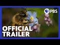 Exploring the Secret Life of Bees