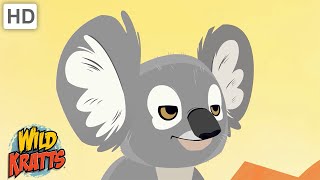 Creatures of Australia | Koalas, Kangaroos, Platypus   more! [Full Episodes] Wild Kratts