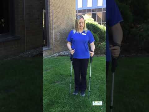 Walking Sticks Updated - YouTube